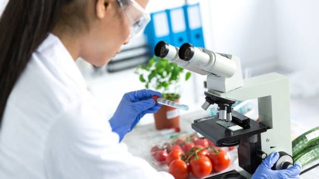 Female microbiologist using microscope in laboratoty stock photo 