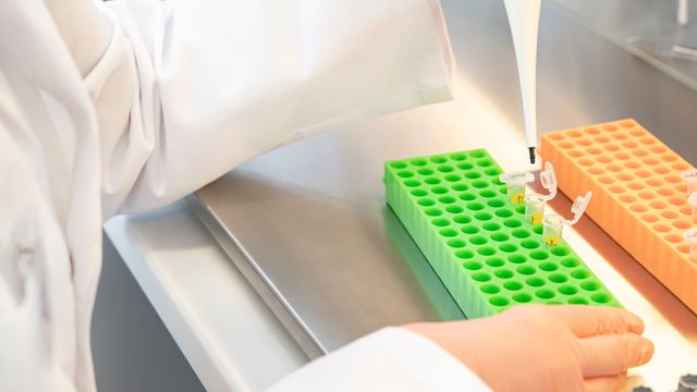 A scientist pipetting samples into tubes on a green rack, conducting lab experiments with precision equipment on a metal surface. 