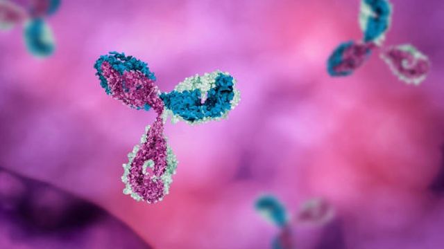 Antibody in pink 