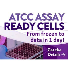 ATCC Assay Ready Cells From frozen to data in 1 day 