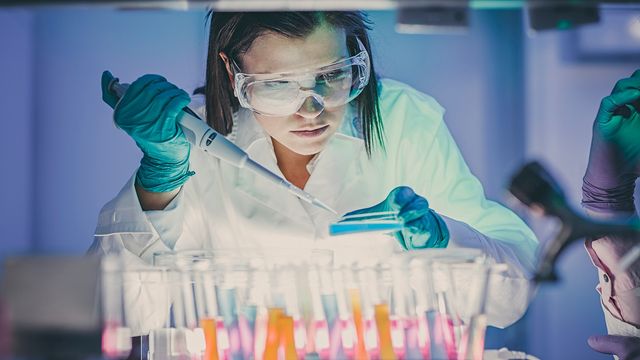 A scientist pipetting into a plate. 