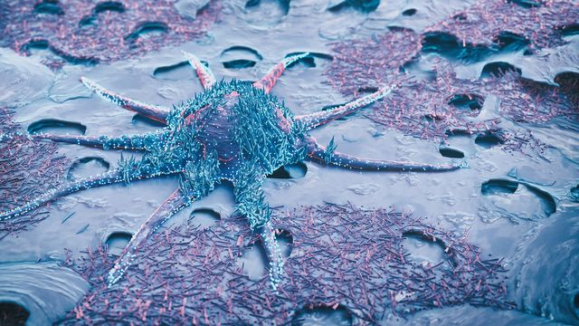 Cancer cells. 