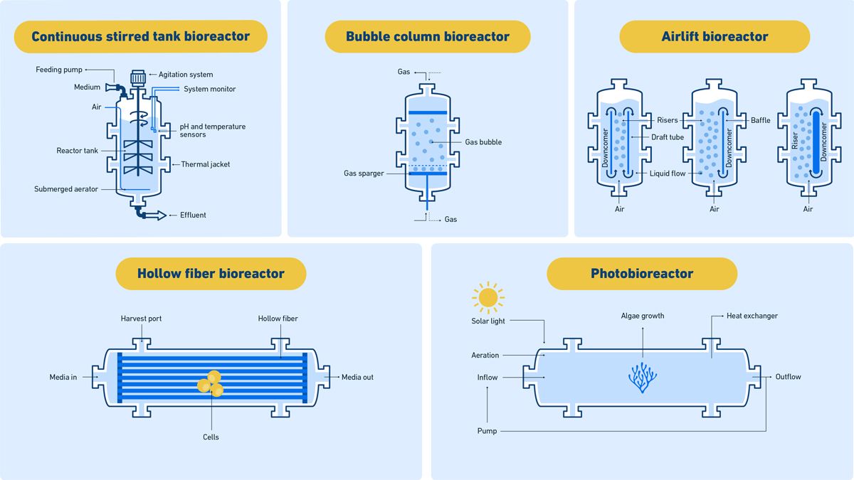 Diagrams of five of the most common types of bioreactor: continuous stirred tank, bubble column, airlift, hollow fiber and photobioreactor