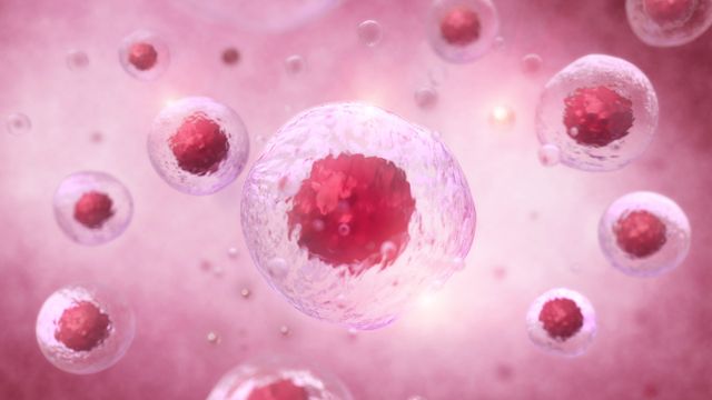 Floating cells on a pink background. 