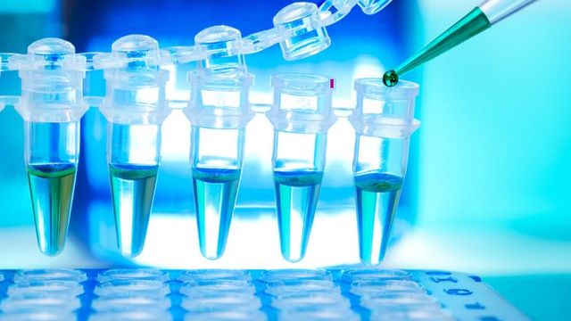 Testubes in lab with liquid  