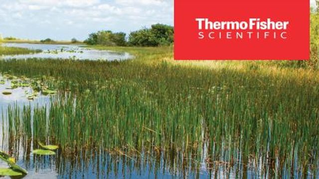 Thermo Fisher Logo with natural water with reeds  