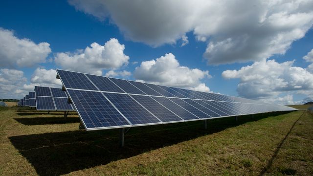 A solar panel farm. 