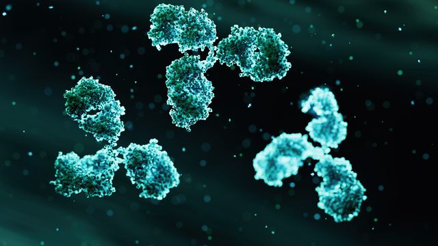 Three teal antibodies floating in front of a dark background. 