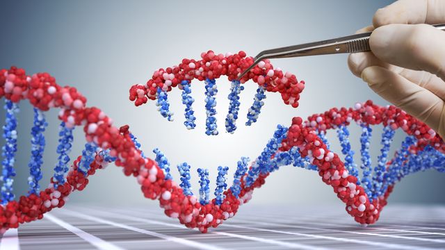 Scientist using a pair of tweezers to remove a section of DNA. 