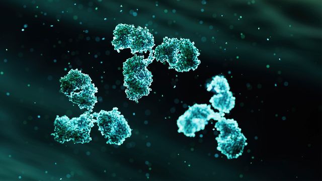 Green antibodies 