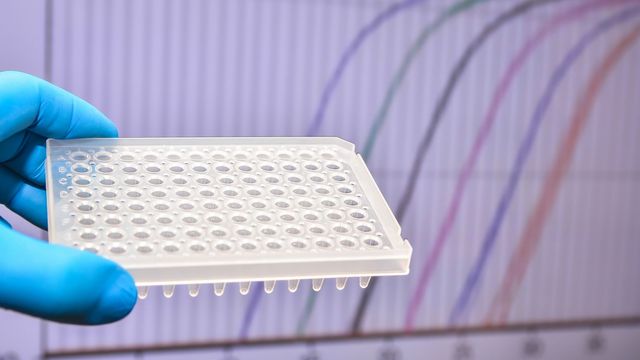 Gloved hands handling a microplate in a laboratory, demonstrating the preparation and analysis of samples in scientific research. 