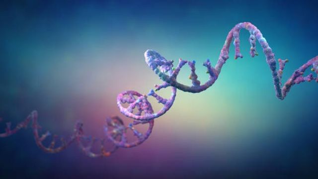 RNA stock photo 