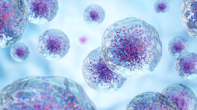 Cells. 