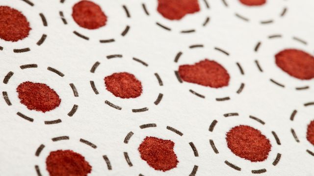 Close-up of a blood spot analysis filter paper.  