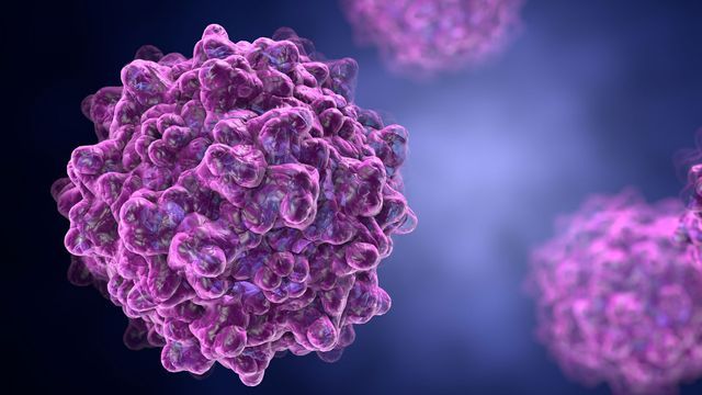 A cluster of cells displaying vibrant purple and pink shapes, illustrating a dynamic biological structure. 