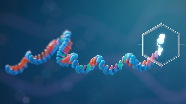 A visual zoomed in representation of a mRNA cap 
