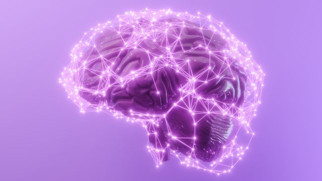 A digital render of a brain showing connections between different areas. 