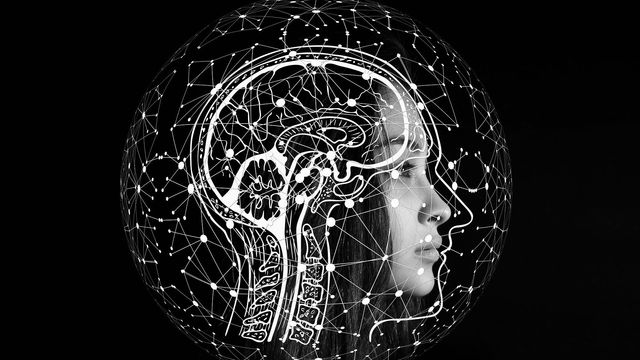 A diagram of the human brain superimposed on a person's face. 